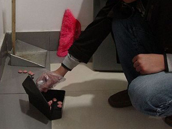 日照滅老鼠客戶案例